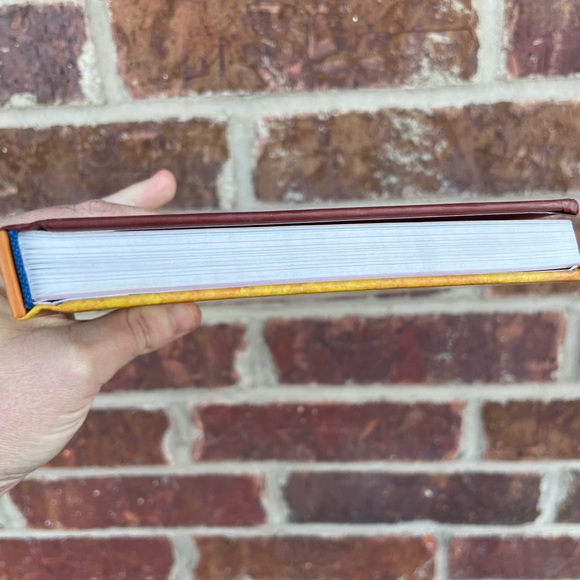 Dog Man Brawl Of The Wild Hardcover Kid’s Book Dav Pilkey - Picture 5 of 9